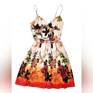 Boston Proper Spring Floral Multicolor Dress